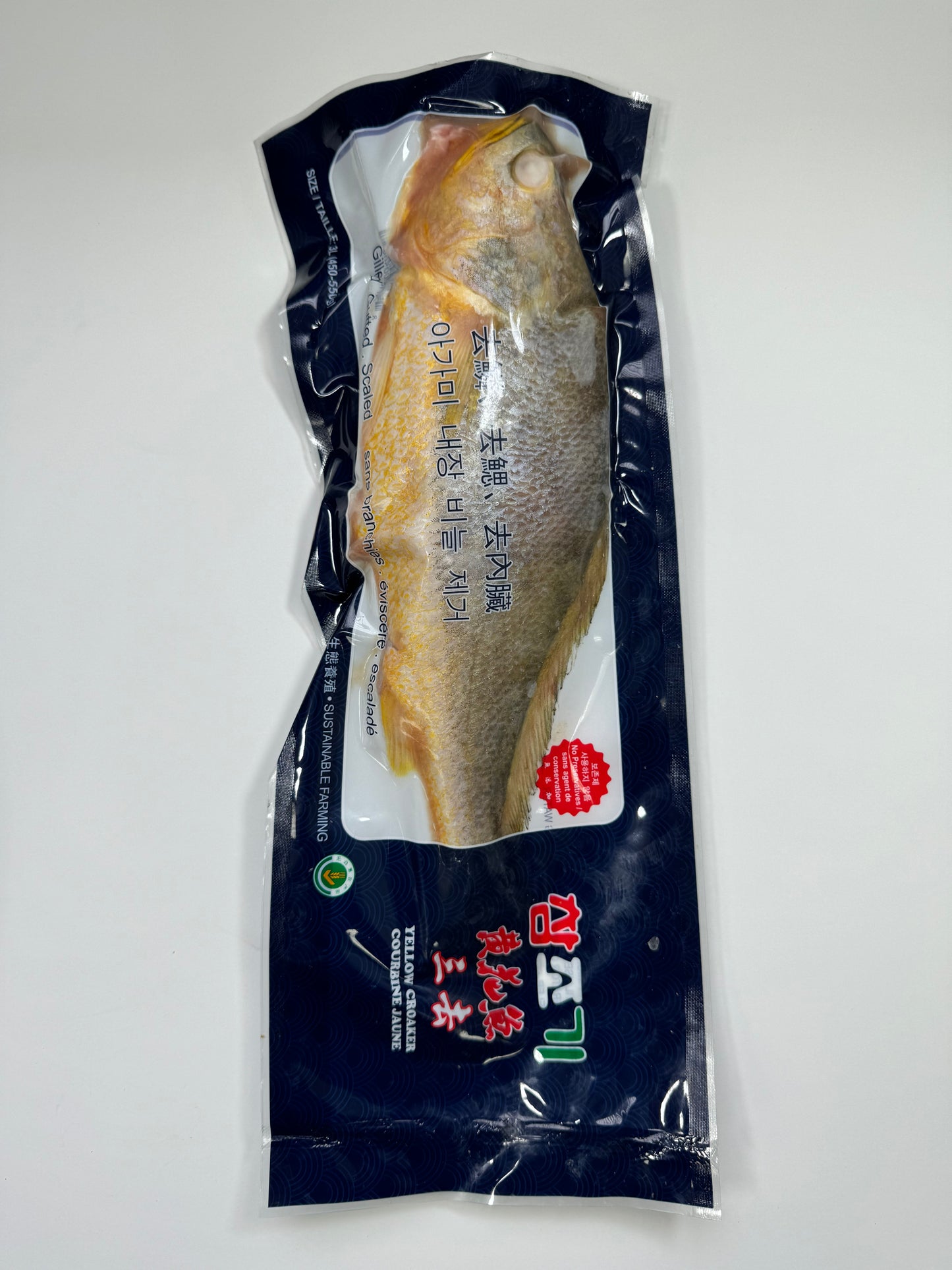 FROZEN YELLOW CROAKER (SCALED/GUTTED/GILLED)