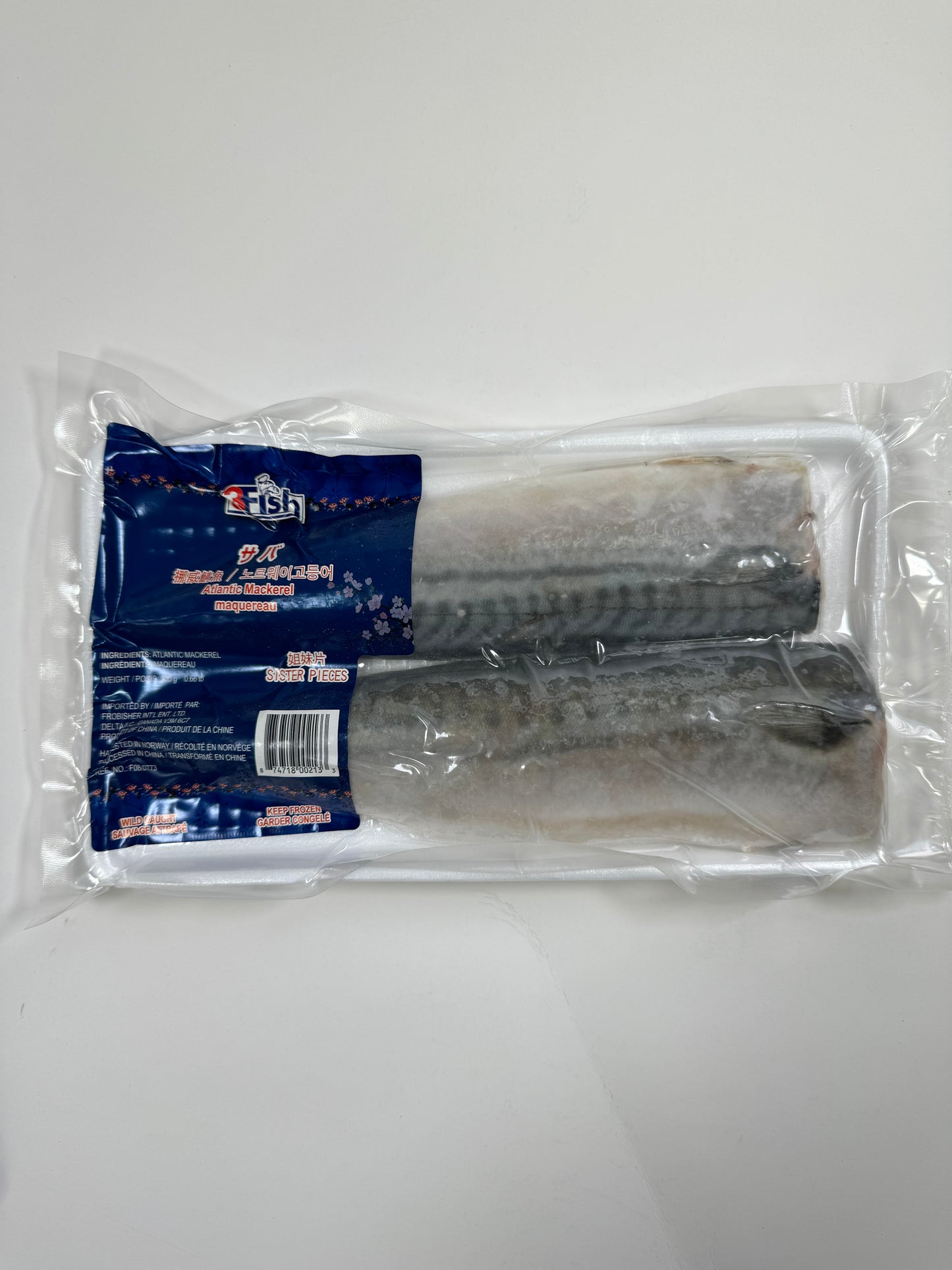 FROZEN ATLANTIC MACKEREL FILLET