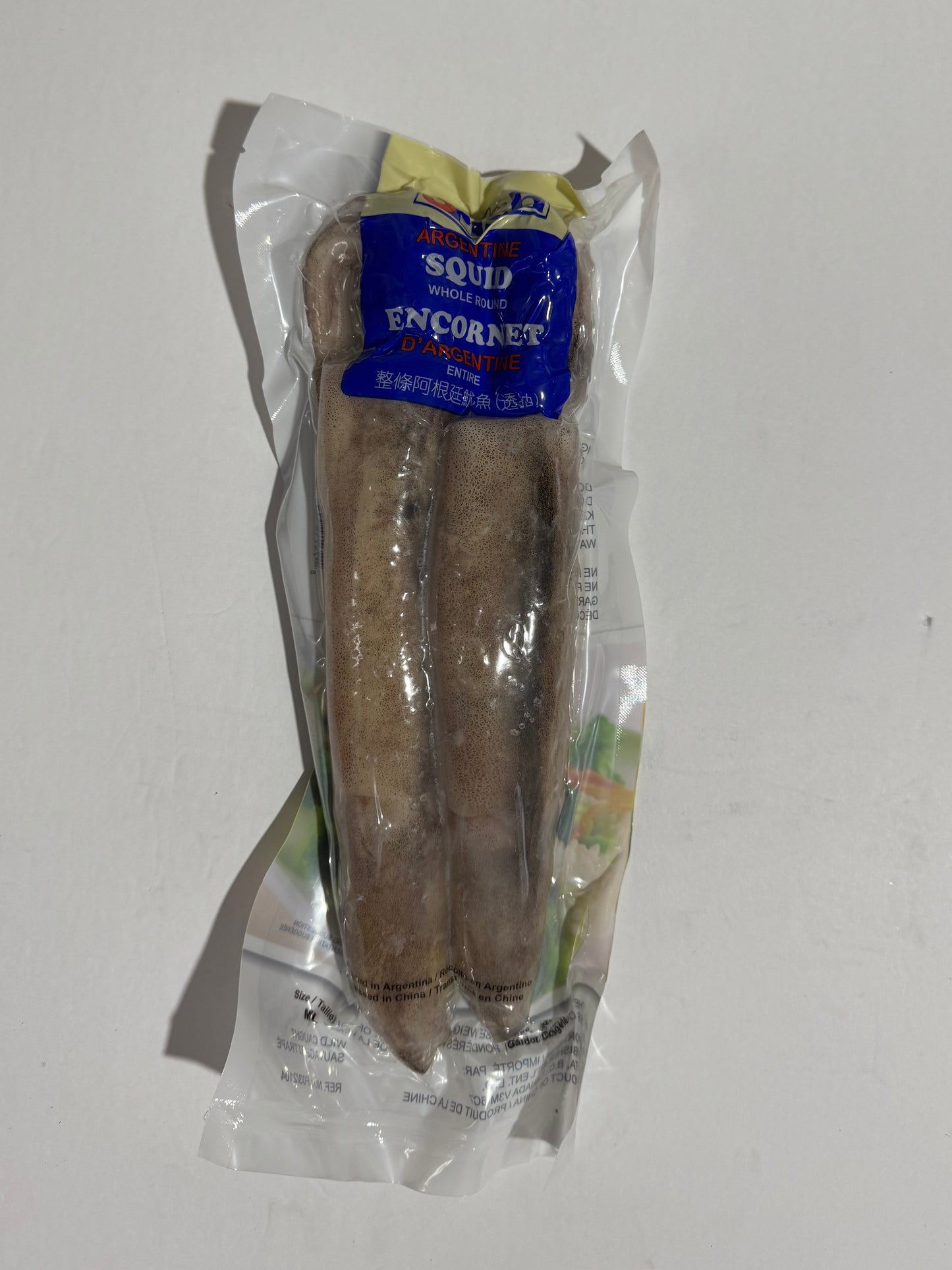 ARGENTINE SQUID